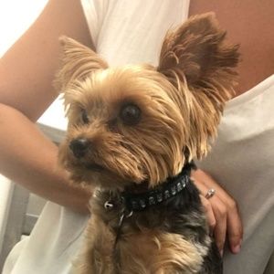 Meet your Posher, Janette